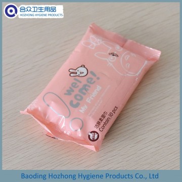Portable Pack Sanitary Moist Wipes