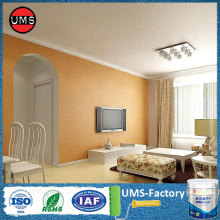 Internal stone fireplace wall painted white