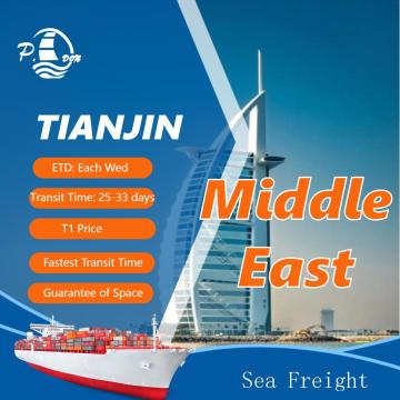 Ocean Freight from Tianjin to Middle East