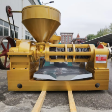 Mini Máquina de óleo para sementes de amendoim