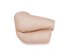 Medcial Rectal Touch Model