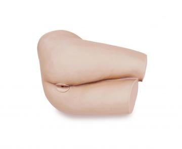 Medcial Rectal Touch Model