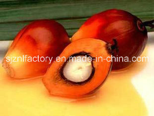 Hot Sale Refined Palm Oil, Palm Olein