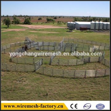 cattle yards horse panels round for sale