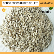 Chinese Seeds Kernels Cheap Price