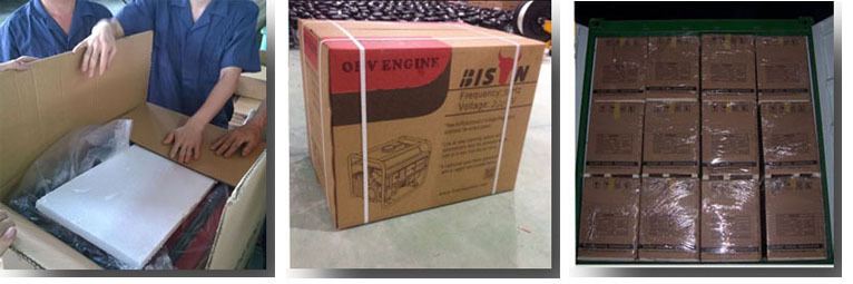 BISON(CHINA) Electric Start with CE and Soncap Generator Gasoline Engine