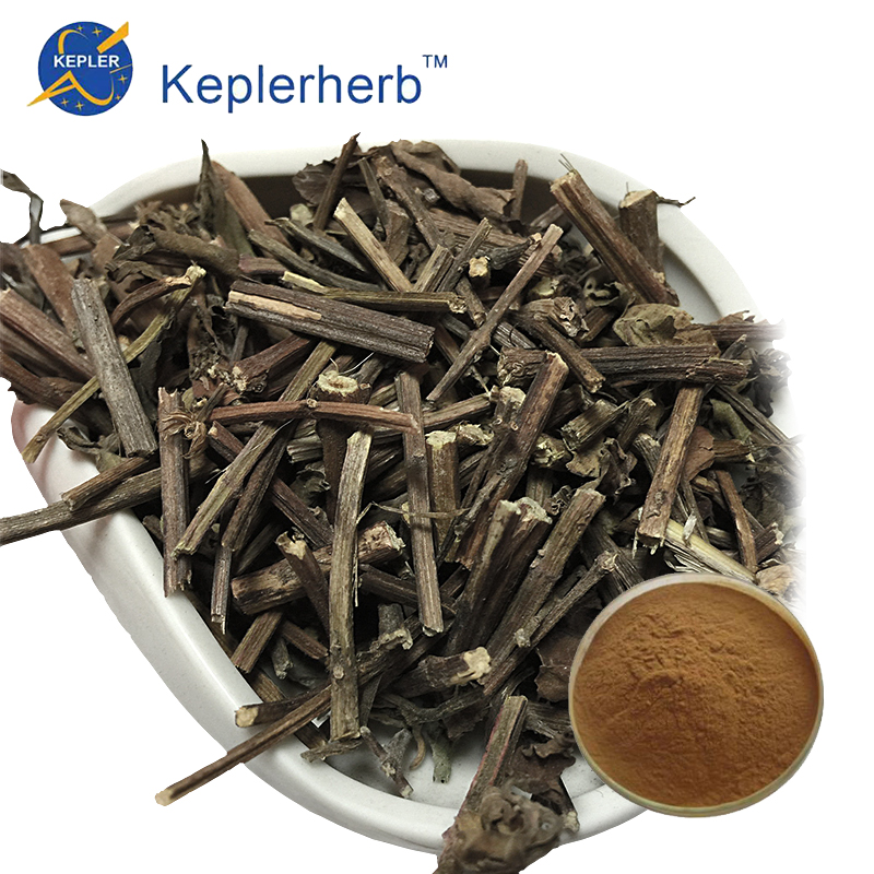 Spicate Clerodendranthus Herb Extract