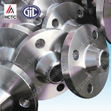 ANSI 300lb Welding-Neck Flange