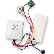 Manufacturing Waterproof Animal Plush Toys with Sound Modules