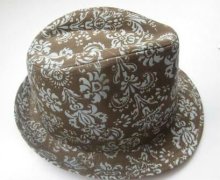 fashional cowboy hat