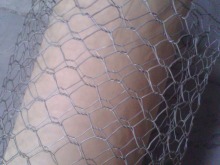 shrub protection wire mesh