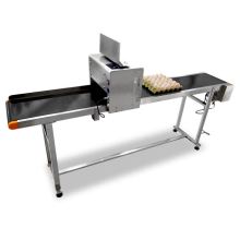 Fast Speed Egg Printing Machine with Conveyor Stand - Eggs Inkjet Printer with Date Code