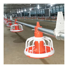Chicken Feeder Breeder Auto Feeding Equipment