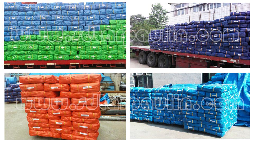 Hoja de lona plástica Plastic Tarpaulin Sheet