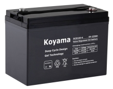 6V220ah-Electric Vehicle Battery for Golf/Utility/Neighborhood Electric Vehicle (NEV)