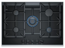 Glass Neff Plate 5 Rings