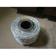 Stainless Steel PVC Galvanized Barbed Wire for Sale