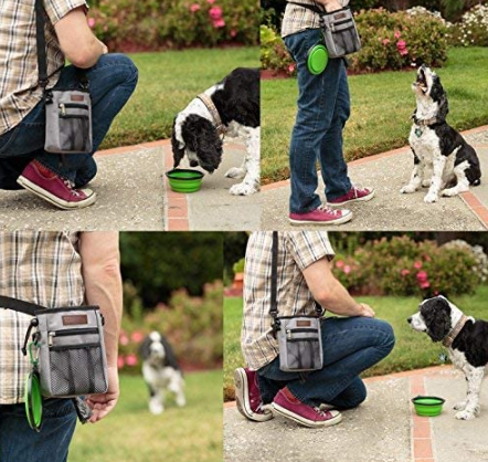 Lightweight Dog Treat Bag