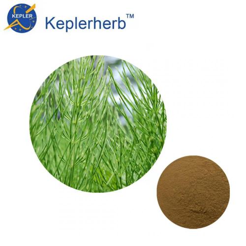 Horsetail extract factory supply