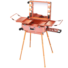 Wheeled Rolling Studio Makeup Show Train Case with Lighted Leg Mirror for Professionals