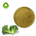 Poudre d&#39;extrait de graines de brocoli 10:1 sulforaphane glucoraphanine