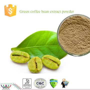 Free sample lose weight ingredient Green coffee bean extract powder with 50% Chlorogenic acids