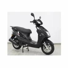 Adult Gasoline Motorcycles and Scooters