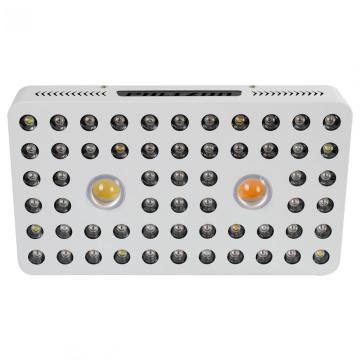 x2 Cob Led Grow Light 1000w