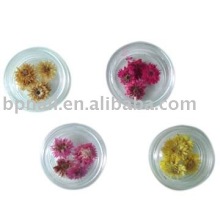 Art Nail Dry Flower Set