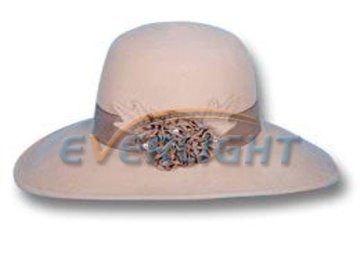 Wool felt hat,women fashion hat,winter hat