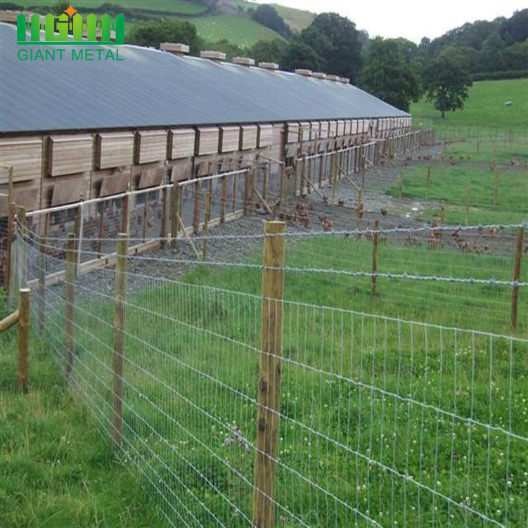 Iron Page Farm Field Galvanized Wire Livestock Fence