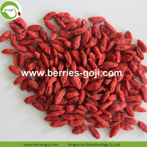 Wholesale Super Food Improve Eyesight Malaysia Wolfberry