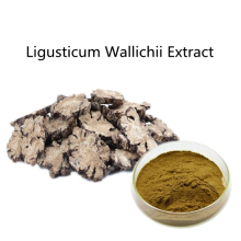 Buy online ingredients Ligusticum Wallichii Extract Powder