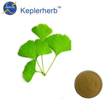 Puissance d&#39;extrait de ginkgo biloba