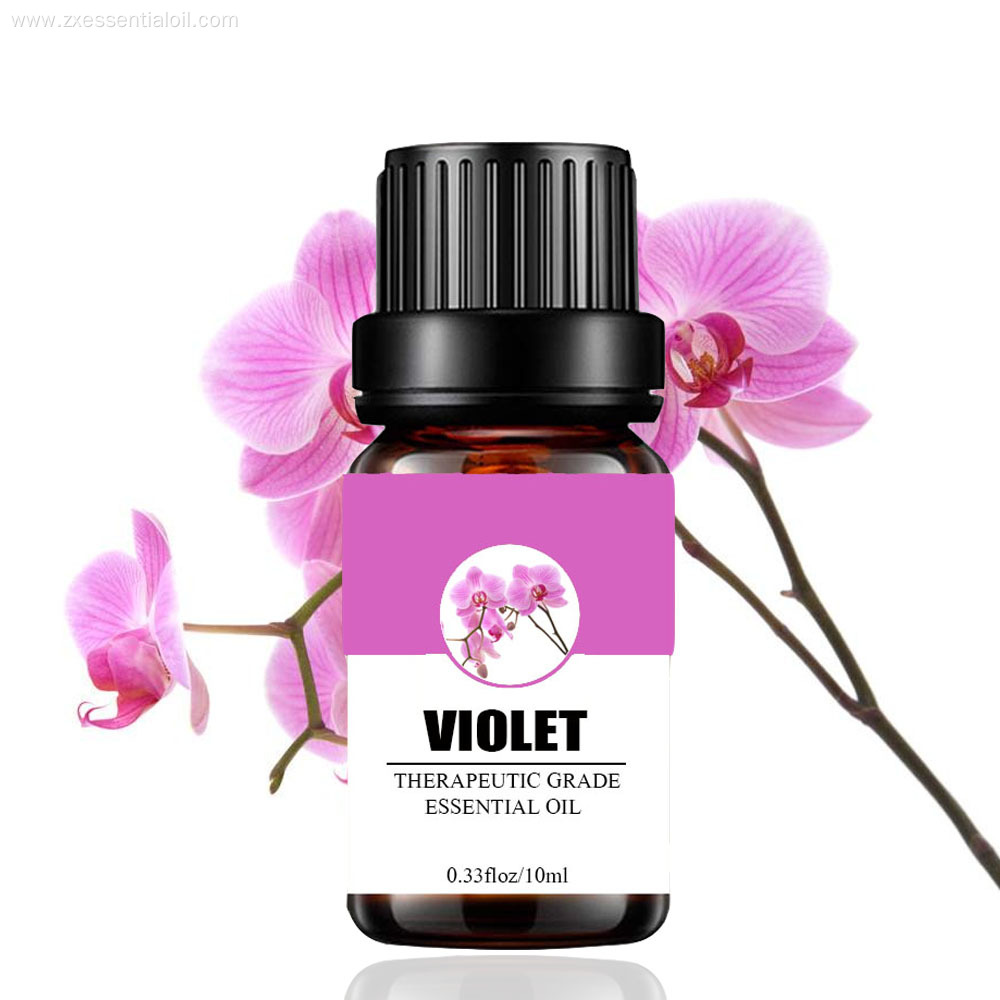 Factory supply pure violet essential oil wholesale