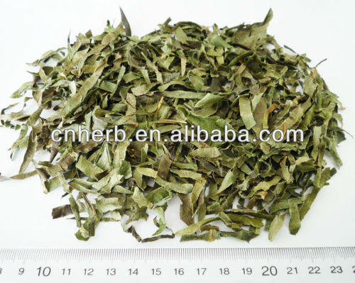 dried loquat leaf used for herbal tea