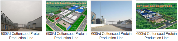 Baumwollsamenöl-Produktionslinie Cottonseed Oil Production Line