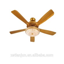Ceiling fan light