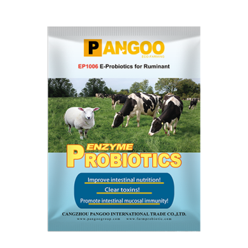 EP1006 Probiotic Enzyme for Ruminant Digestion