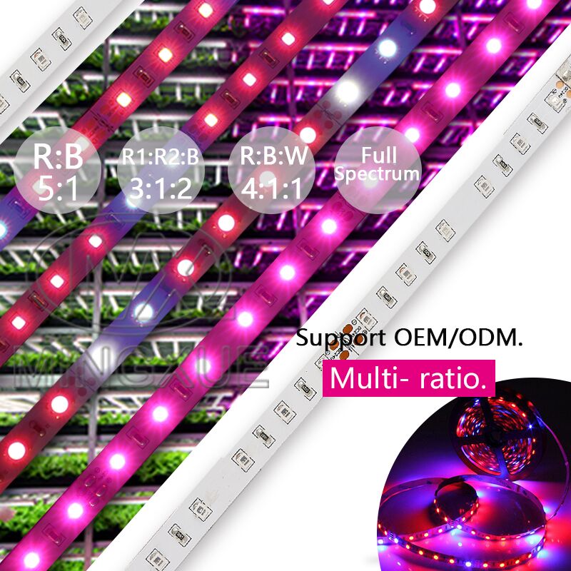 Hot Sale SMD2835 15w Full Spectrum LED Grow Strip