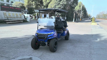 Custom Gas Powered Golf Carts for Sale