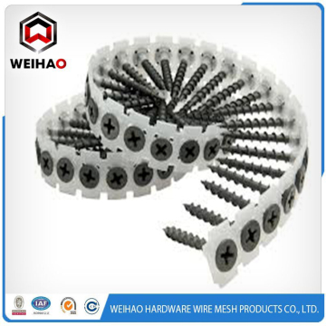 Philips Bugle Head Drywall Screw