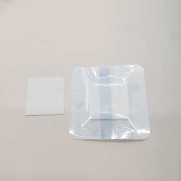 Alginate wound dressing for burning wound