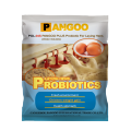 POL 04S Probiotics for Laying Hens (soluble dans l&#39;eau)