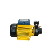 KAISLEN Mini Model Clean Water Smart Treatment 0.75HP Vortex Water Pumps