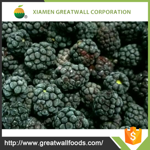 china supply frozen blackberries