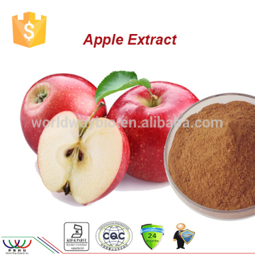 free sample ! organic China Botanical extract 90% phlorizin , extract apple phlorizin, 100% pure apple extract phlorizin