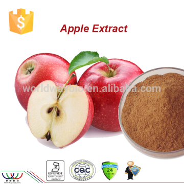 Free samples Natural apple polyphenols extract powder apple extract in cosmetics