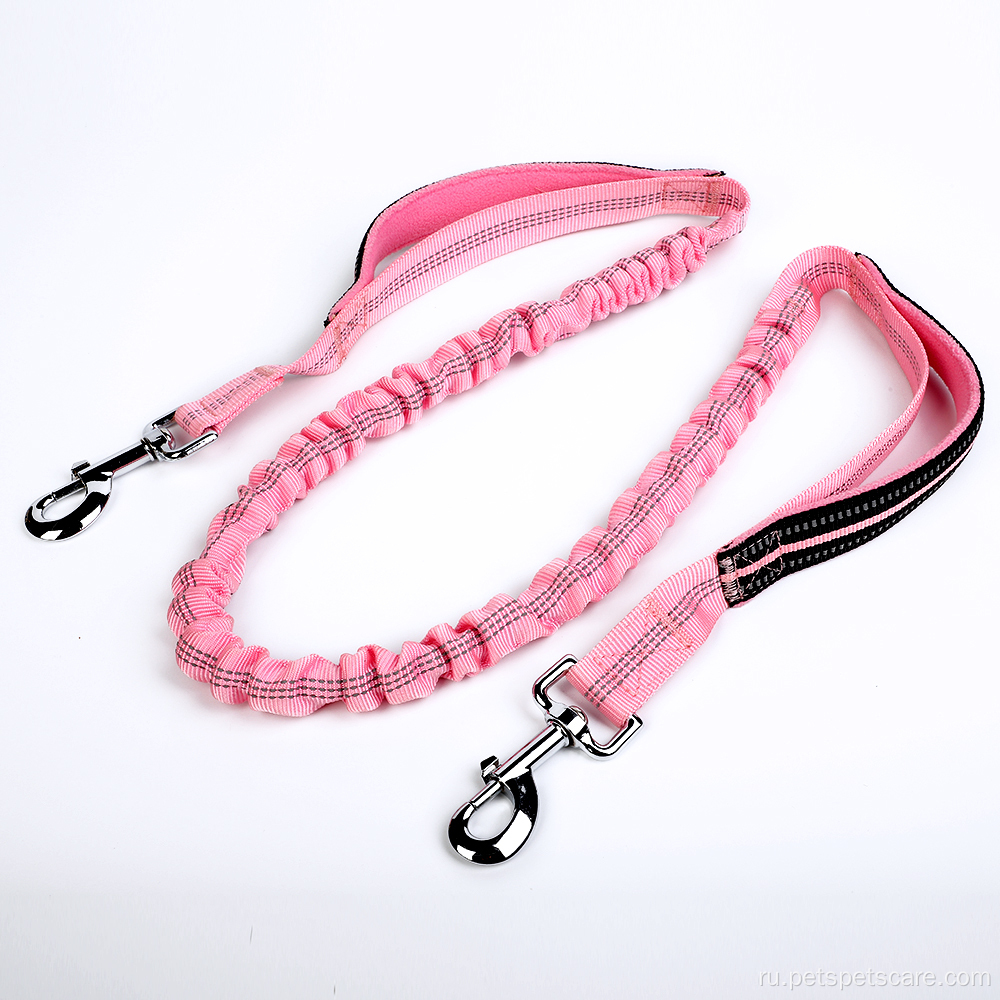 Duty Double Landles Nylon Bungee Dog Leash