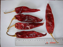 Ameria chilli crushed chilli red whole chilli